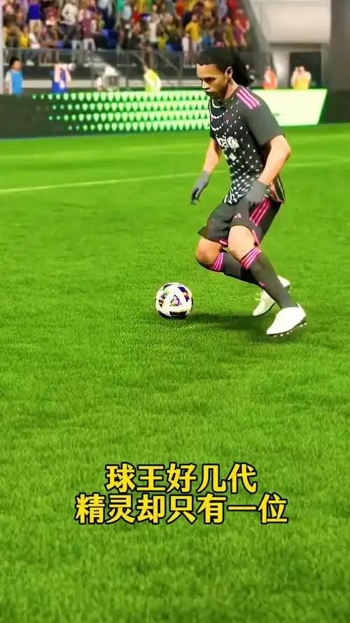 水户蜀葵凭